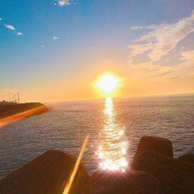 半岛官方APP入口下载手机版截图